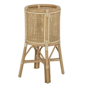 Bekasi Bamboo Rattan Planter Stand, Natural by Amalfi, a Plant Holders for sale on Style Sourcebook