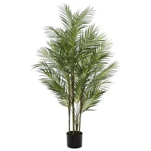 Potted Artificial Phoenix Palm Tree, 122cm by Rogue, a Plants for sale on Style Sourcebook