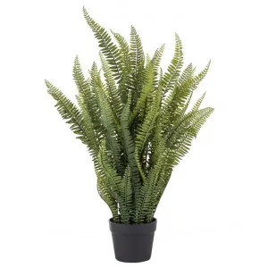 Potted Artificial Boston Fern, 86cm by Rogue, a Plants for sale on Style Sourcebook