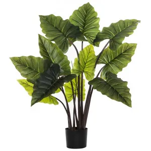 Potted Artificial Alocasia Plant, 110cm by Rogue, a Plants for sale on Style Sourcebook