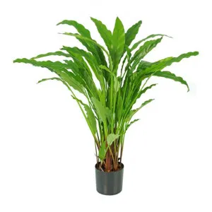 Potted Artificial Calathea Bluegrass Plant, 82cm by Florabelle, a Plants for sale on Style Sourcebook