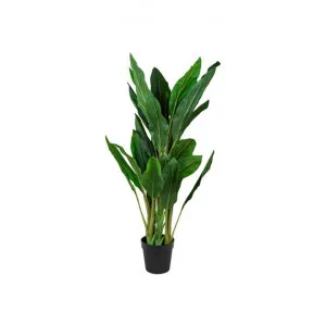 Potted Artificial Dracaena Fragrans Plant, 122cm by Florabelle, a Plants for sale on Style Sourcebook