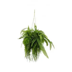 Hanging Artificial Fern, 90cm by Florabelle, a Plants for sale on Style Sourcebook