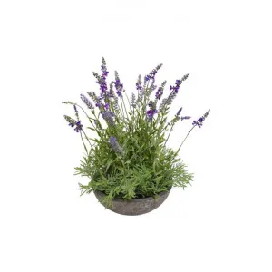 Potted Artificial Lavender by Florabelle, a Plants for sale on Style Sourcebook
