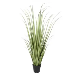 Potted Artificial River Grass, 140cm by Casa Sano, a Plants for sale on Style Sourcebook