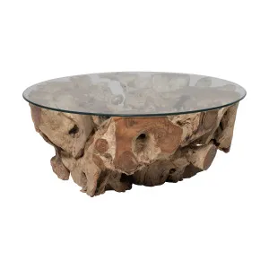 Root Round Coffee Table 100cm in Raw Teak by OzDesignFurniture, a Coffee Table for sale on Style Sourcebook