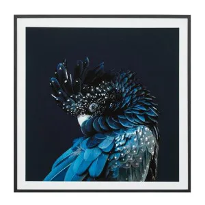 Australian Cockatoo Framed Print in 103 x 103cm by OzDesignFurniture, a Prints for sale on Style Sourcebook