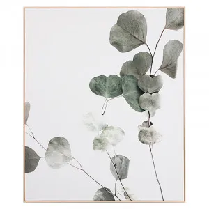 Eucalyptus Branch 1 Box Framed Canvas in 100x120cm by OzDesignFurniture, a Prints for sale on Style Sourcebook