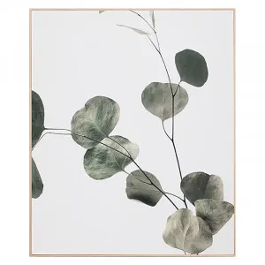 Eucalyptus Branch 2 Box Framed Canvas in 100x120cm by OzDesignFurniture, a Prints for sale on Style Sourcebook