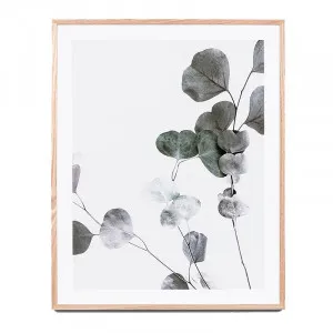 Eucalyptus Branch 1 Framed Print in 64 x 79cm by OzDesignFurniture, a Prints for sale on Style Sourcebook