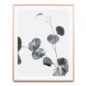 Eucalyptus Branch 2 Framed Print in 64 x 79cm by OzDesignFurniture, a Prints for sale on Style Sourcebook