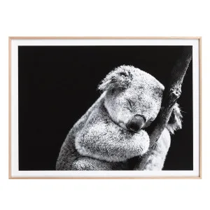 Sleepy Koala Framed Print in 114 x 85cm by OzDesignFurniture, a Prints for sale on Style Sourcebook