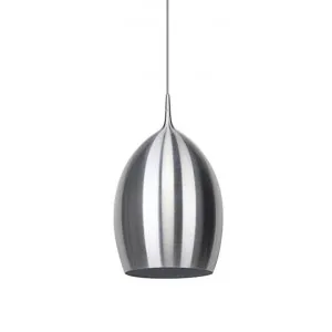 Elpis Pendant Light - Silver by Shelon Lights, a Pendant Lighting for sale on Style Sourcebook