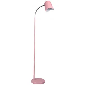 Pastel Iron Floor Lamp, Matt Pink by CLA Ligthing, a Floor Lamps for sale on Style Sourcebook