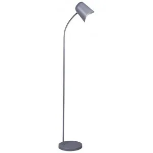 Pastel Iron Floor Lamp, Matt Grey by CLA Ligthing, a Floor Lamps for sale on Style Sourcebook
