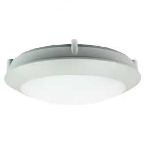 Duro IP66 Exterior LED Oyster Light, 20cm, Round, Grey by Oriel Lighting, a Spotlights for sale on Style Sourcebook