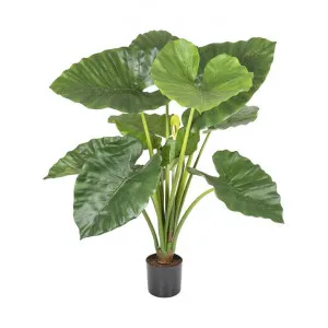 Grevatt Potted Artificial Alocasia Calidora Plant, 80cm by Florabelle, a Plants for sale on Style Sourcebook