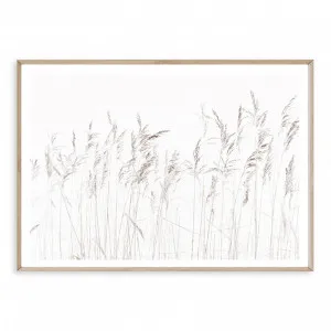 Coastal Grass by Boho Art & Styling, a Prints for sale on Style Sourcebook
