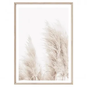 Pampas III by Boho Art & Styling, a Prints for sale on Style Sourcebook