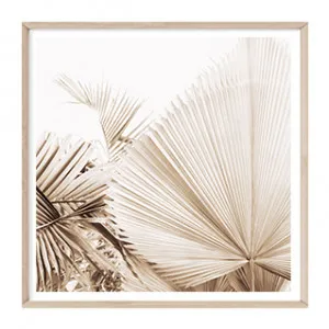 Dried Fan Palm (square) by Boho Art & Styling, a Prints for sale on Style Sourcebook