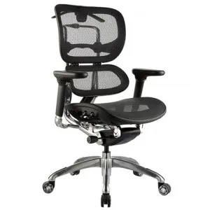 Ergo Fabric Executive Office Chair by Style Ergonomics, a Chairs for sale on Style Sourcebook