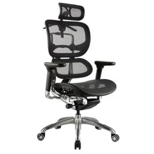 Ergo Fabric Executive Office Chair with Headrest by Style Ergonomics, a Chairs for sale on Style Sourcebook