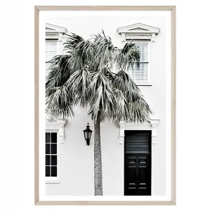 Palm Entrance II by Boho Art & Styling, a Prints for sale on Style Sourcebook