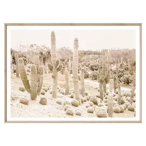 Cactus Garden by Boho Art & Styling, a Prints for sale on Style Sourcebook