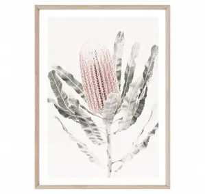 Soft Banksia by Boho Art & Styling, a Prints for sale on Style Sourcebook