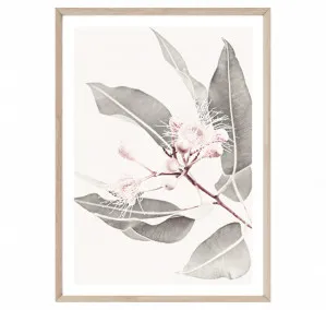 Soft Gum Blossoms by Boho Art & Styling, a Prints for sale on Style Sourcebook