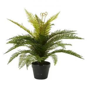 Potted Artificial Boston Fern, 55cm by Florabelle, a Plants for sale on Style Sourcebook
