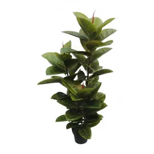 Potted Artificial Rubber Tree, 130cm by Florabelle, a Plants for sale on Style Sourcebook