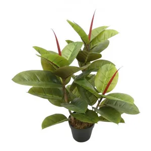 Potted Artificial Rubber Tree, 80cm by Florabelle, a Plants for sale on Style Sourcebook
