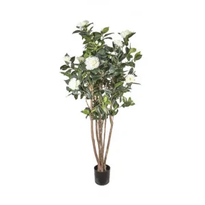 Artificial Camellia Japonica Tree, White Flower, 120cm by Florabelle, a Plants for sale on Style Sourcebook