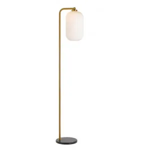 Lark Metal & Glass Floor Lamp by Telbix, a Floor Lamps for sale on Style Sourcebook