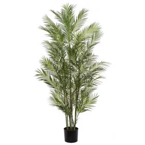 Potted Artificial Phoenix Palm Tree, 183cm by Rogue, a Plants for sale on Style Sourcebook