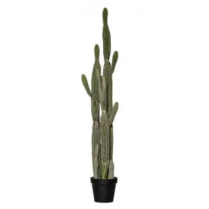 Potted Artificial Saguaro Cactus, 152cm by Rogue, a Plants for sale on Style Sourcebook