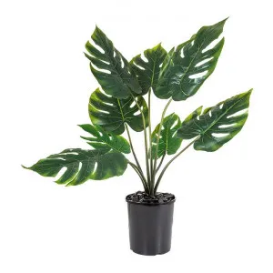 Potted Artificial Split Philo Monstera, 85cm by Florabelle, a Plants for sale on Style Sourcebook