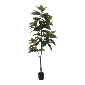 Potted Real Touch Artificial Magnolia Tree, 170cm by Florabelle, a Plants for sale on Style Sourcebook