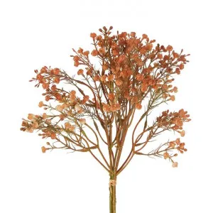 Artificial Gypsophila Bundle, 38cm, Apricot by Florabelle, a Plants for sale on Style Sourcebook