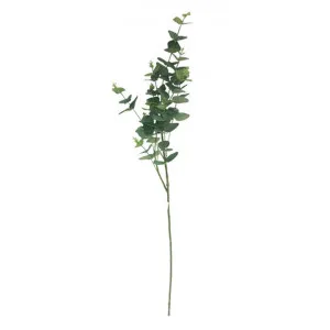 Artificial Eucalyptus Stem, 90cm by Want GiftWare, a Plants for sale on Style Sourcebook