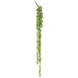 Artificial String of Pearls Spray, 74cm by Want GiftWare, a Plants for sale on Style Sourcebook