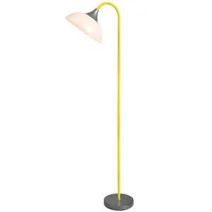 Alberta Metal Base Floor Lamp, Yellow by Lumi Lex, a Floor Lamps for sale on Style Sourcebook