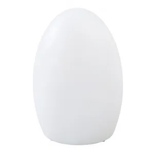 Snow Egg IP44 Indoor / Outdoor Colour Changing LED Table Lamp by Lexi Lighting, a Table & Bedside Lamps for sale on Style Sourcebook