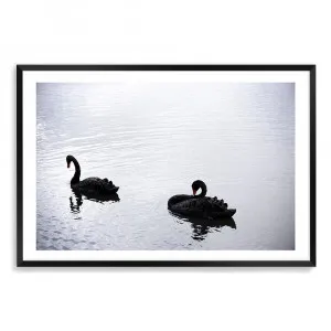 Black Swans On a Lake by The Paper Tree, a Prints for sale on Style Sourcebook