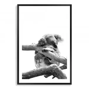 Sleeping Koala by The Paper Tree, a Prints for sale on Style Sourcebook