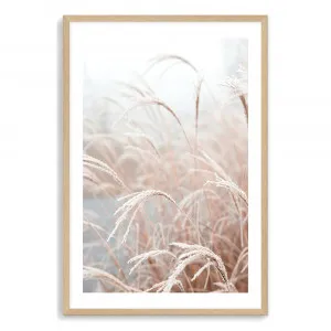 Golden Grass | Coastal Pampas Grass by The Paper Tree, a Prints for sale on Style Sourcebook
