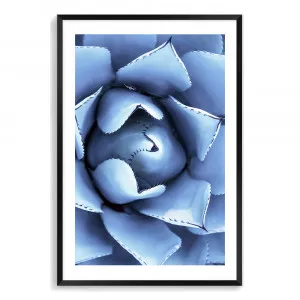 Ice Blue Succulent | Cactus by The Paper Tree, a Prints for sale on Style Sourcebook