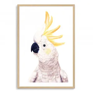 Cassidy The Cockatoo by The Paper Tree, a Prints for sale on Style Sourcebook