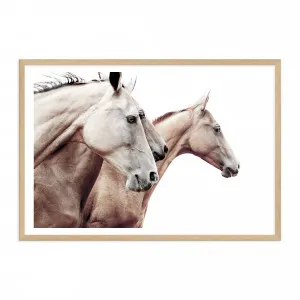 Palomino Horses by The Paper Tree, a Prints for sale on Style Sourcebook